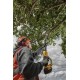 DEWALT გრძელი ჯაჭვური ხერხი ელემენტზე-DCMPS567P1-QW
