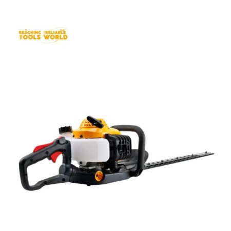 გაზონის საკრეჭი ბენზინზე 0.65/6500KW R.MIN1.0HP9500RPM DE01301 DINGQI