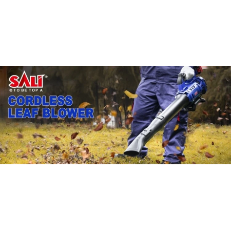 დასაბერი პილასოსი ბატარიაზე 13.2M-20V-MINI R2124002F SALI