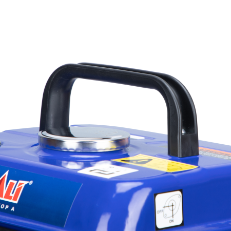 ელექტრო გენერატორი SALI W0300950A