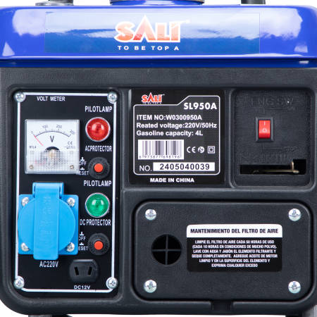 ელექტრო გენერატორი SALI W0300950A