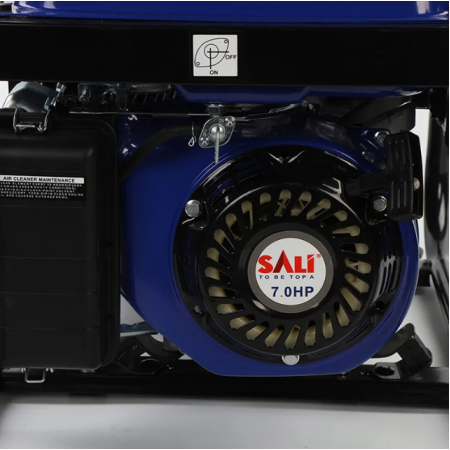 ელექტრო გენერატორი SALI W032200SL