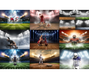 სპორტის სახეობები