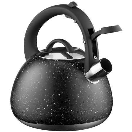 Ardesto Kettle Gemini, 2.5l, stainless steel, black