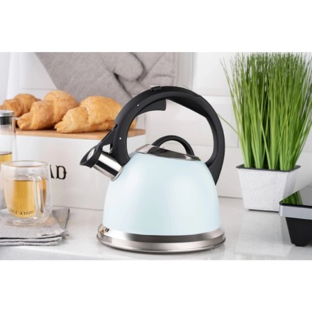 Ardesto Kettle Gemini, 2l, stainless steel, blue