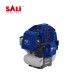 სათიბელა ბენზო 52CC/1400W P06152CG-CG520 SALI